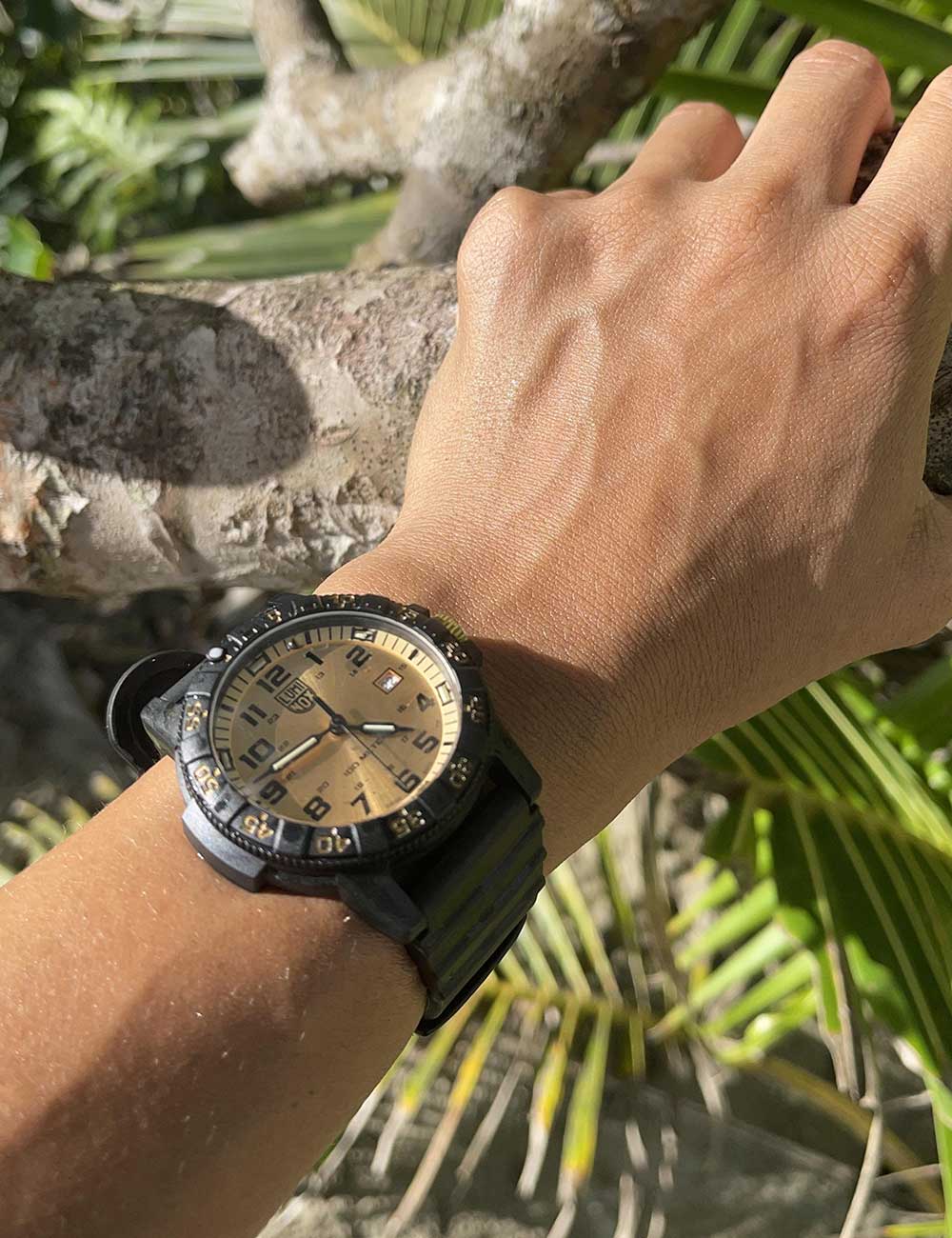 Luminox XS.0325.GP vyriškas laikrodis Leatherback Sea Turtle Giant 44mm 100M
