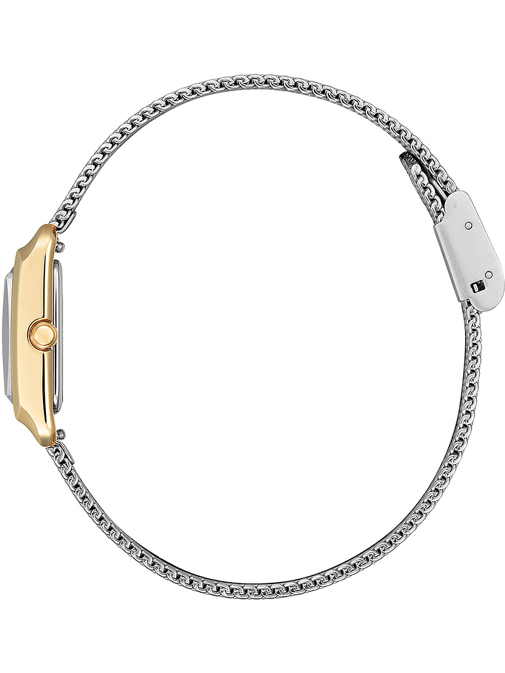 Citizen EW5596-66X Eco-Drive Elegance moteriškas laikrodis 22mm 5ATM