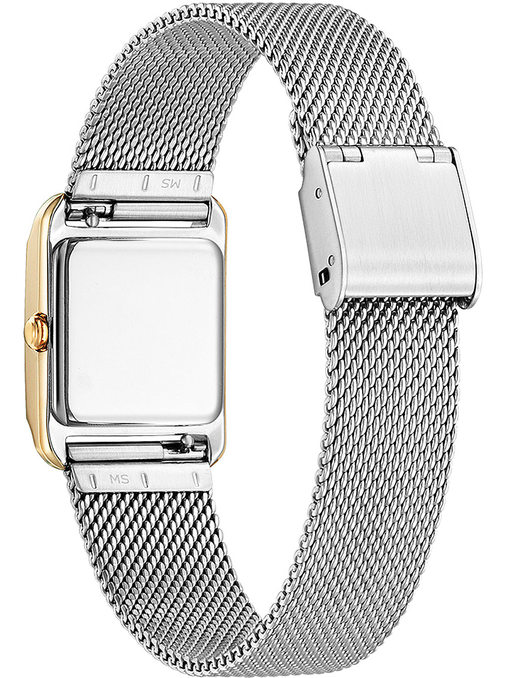 Citizen EW5596-66X Eco-Drive Elegance moteriškas laikrodis 22mm 5ATM