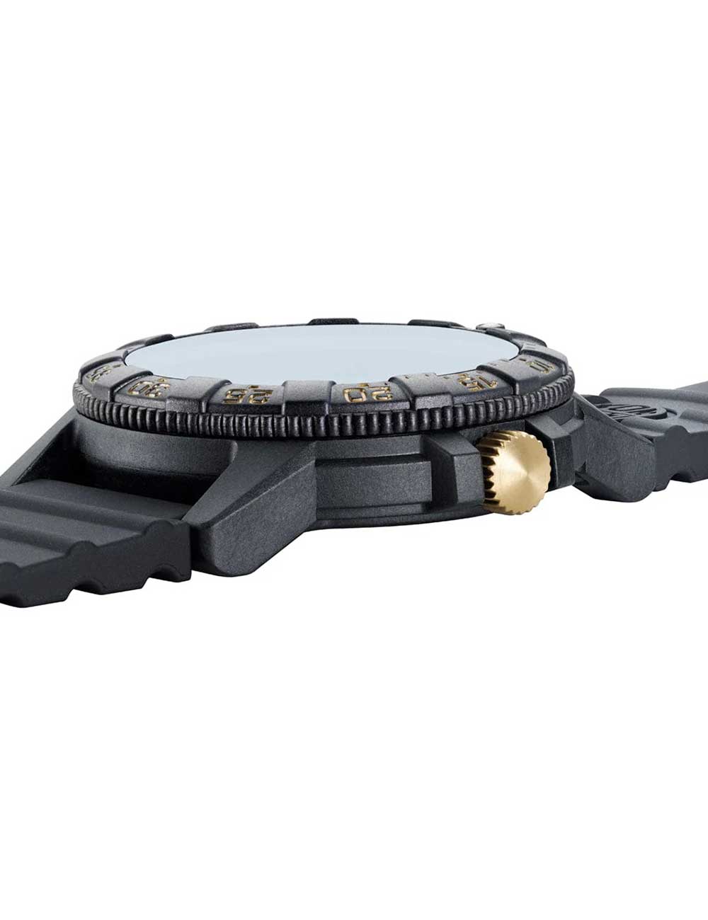 Luminox XS.0325.GP vyriškas laikrodis Leatherback Sea Turtle Giant 44mm 100M